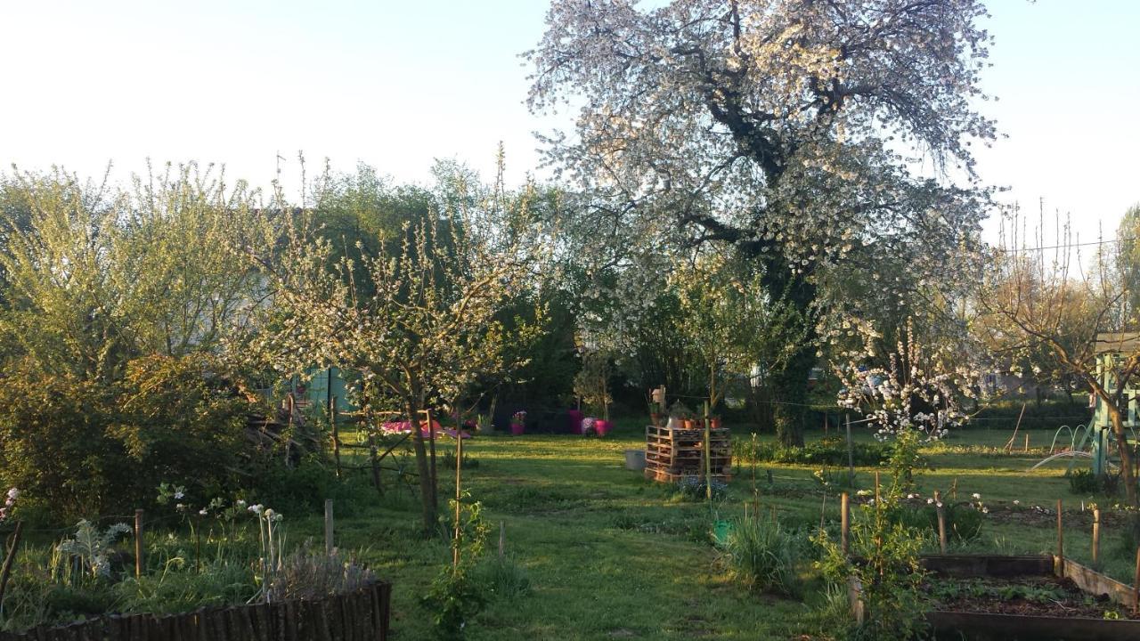 Chambre D'Hotes A La Campagne Nevers Challuy Exterior foto